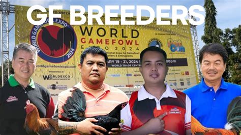 Ang mga kaibigan kong sikat na AMERICAN GAMEFOWL .